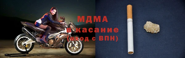 индика Алексин