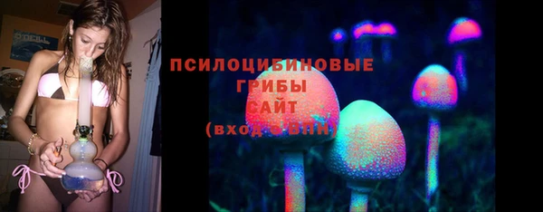 синтетический гашиш Алексеевка