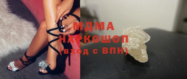 индика Алексин