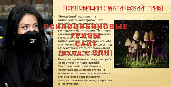 синтетический гашиш Алексеевка