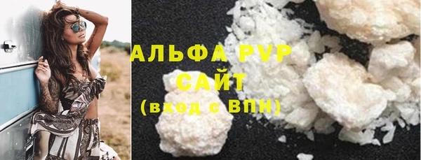 индика Алексин