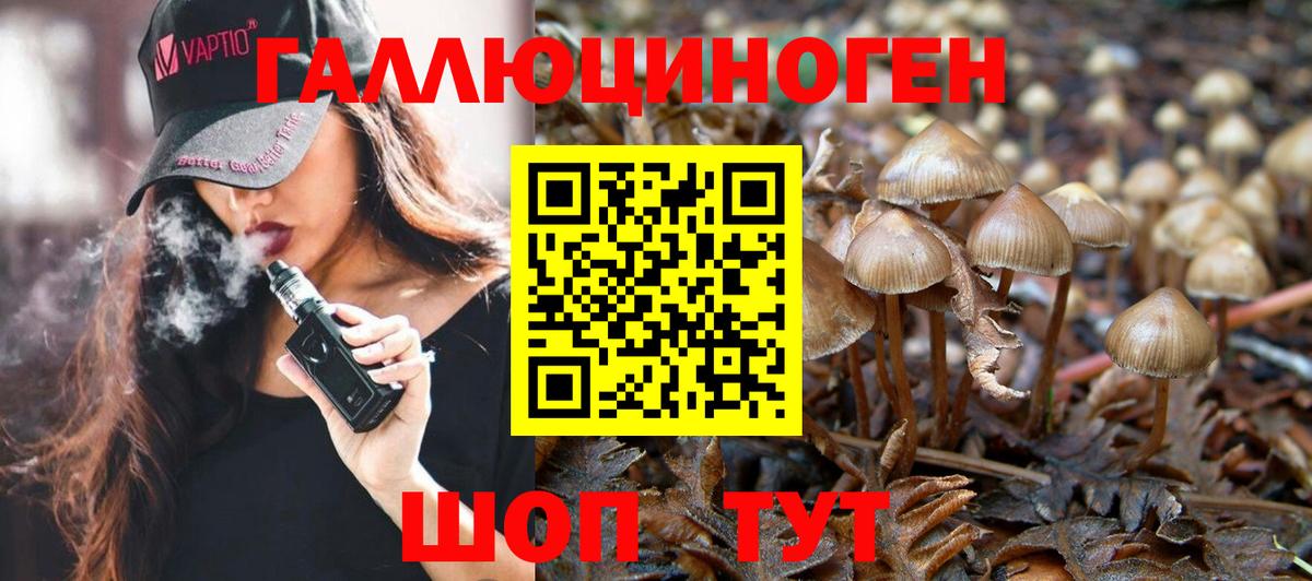 Галлюциногенные грибы Cubensis  Вход с VPN  Фролово 